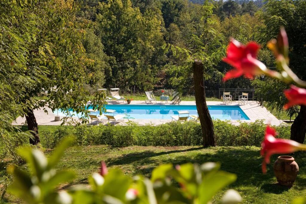 Villa Liz Tuscany, Private Pool, Hot Tub, Property Fenced, Pets Allowed Poppi Exterior photo
