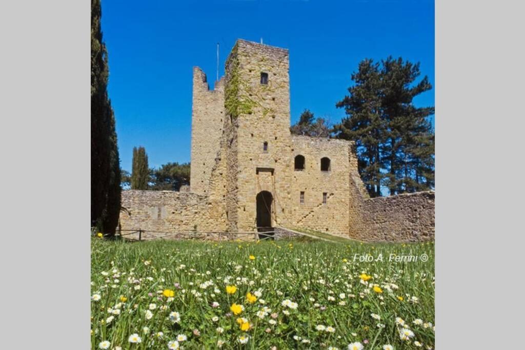 Villa Liz Tuscany, Private Pool, Hot Tub, Property Fenced, Pets Allowed Poppi Exterior photo